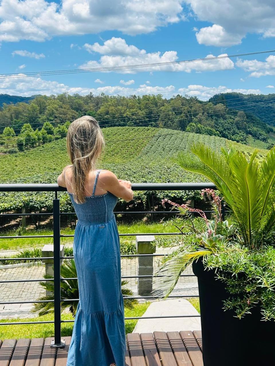 Vista Vigneti Albergo & Vino - Vale Dos Vinhedos Bento Gonçalves Kültér fotó